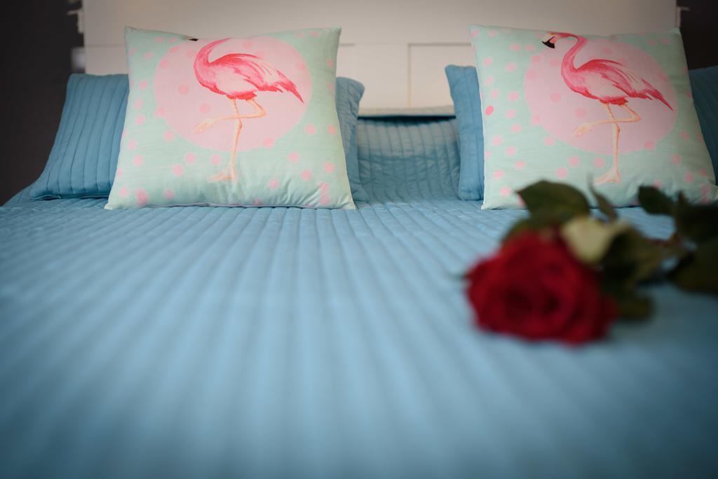 Apartman Tironi *